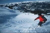 Awesome skiing vacations on Blackcomb Mountain in Whistler, British Columbia