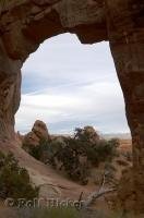 One of the many arches in Arches National Park is Pine Tree Arch along the Devils Garden Trail.