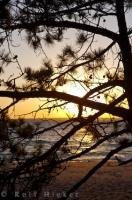 The silhouette of a tree located along the beach at Agawa Bay in Lake Superior Provincial Park in Ontario makes a beautiful picture at sunset.