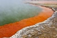 The piping hot, steaming Champagne Pool always attracts visitors to Wai-o-tapu in Rotorua, North Island, New Zealand.