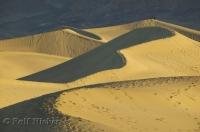 The golden sanddunes in the desert of Death Valley during sunrise in California, USA.