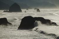 A stunning view from Ecola State Park of Cannon Beach and Haystack Rock in the background along the Oregon Coast.