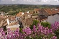 Pink flowers beautify the walls in the village of Morella looking out over the El Maestrat landscape in Valencia, Spain in Europe.