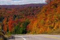 The forest is an array of color as you drive along Highway 60 through the picturesque Algonquin Provincial Park in Ontario, Canada.