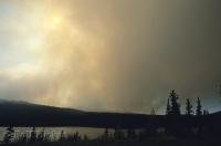 A scene that Yukon Fire Fighters prepare for every summer seaon are Forest Fires like this near Whitehorse.