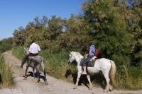 One of the best ways to explore the beauty of the Camargue in Provence, France is by booking a horse riding adventure from Auberge de la Fadaise.