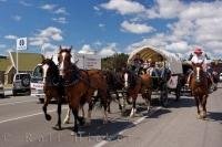 A procession of horse drawn chuck wagons through the streets of Roxburgh in Central Otago, New Zealand.