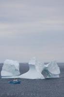 A boat tour travels near a melting iceberg that has formed a unique looking tunnel in Iceberg Alley in Newfoundland, Canada.