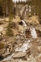 Tangle Creek Falls are located along the Icefields Parkway in Jasper National Park, Alberta, Canada.