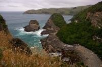Along the 30 minute walk to Jacks Blowhole is a stunning view over the rugged coastline of Jack's Bay in the Catlins region of the South Island of New Zealand.
