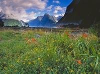 Picture of Milford Sound in Fiordland National Park, a must see vacation holiday destination