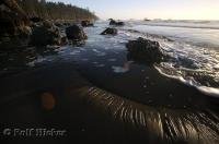One of the most stunning Olympic National Park beaches, Ruby Beach, in Washington, USA.