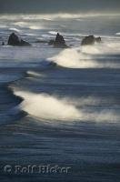 The wave pounded rocky coast of Oregon in the USA.