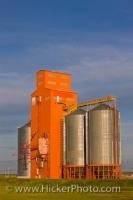 In the town of Morse in Saskatchewan, Canada, modernized cylinder shaped terminals are replacing the old styled grain elevators.