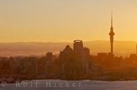 The largest city of NZ, Auckland has a dense CBD (central business district) with a unique skyline of high rise buildings. The cityscape, which is punctuated by the iconic sky tower, is almost silhouetted against the bright sky during sunset.