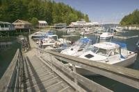 Telegraph Cove Vancouver Island, Boat harbor