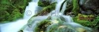 Panoramic Stock Pictures of Waterfalls in a Rainforest