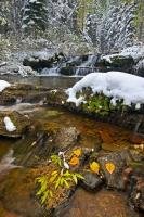 One look at this scenery picture shows a brisk change of season from fall one day, with autumn leaves and free flowing water, to winter the next day with fresh snow cloaking the landscape.