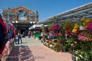 photo of Byward Market Flower Stall Ottawa Ontario