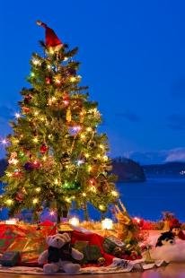photo of Christmas Tree Card