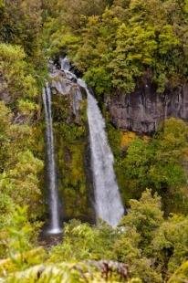 photo of Beautiful Waterfall Kapuni Stream Egmont National Park New Zealand
