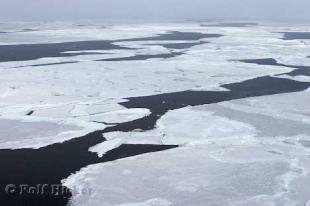 photo of Ice Floes