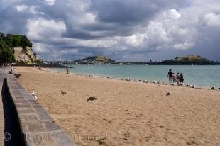 photo of New Zealand Beach Scene Mission Bay Auckland