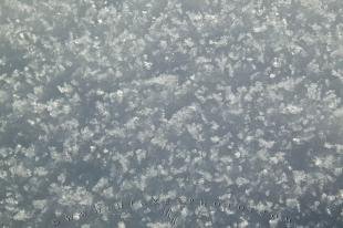 photo of Snow Flakes