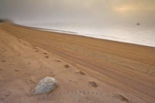 photo of Sand Footprints Pinware Labrador
