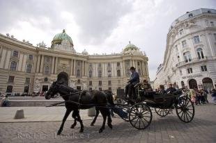 photo of Sightseeing Horse Tours Vienna Austria