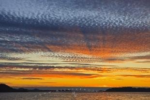photo of Beautiful Free Quality Cloud Sunset Background Wallpaper