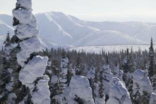 photo of Yukon Alaska