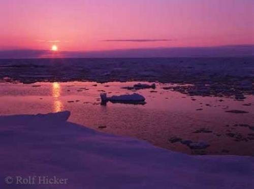 Photo: 
Pack Ice Shoreline Newfoundland Sunset Pictures