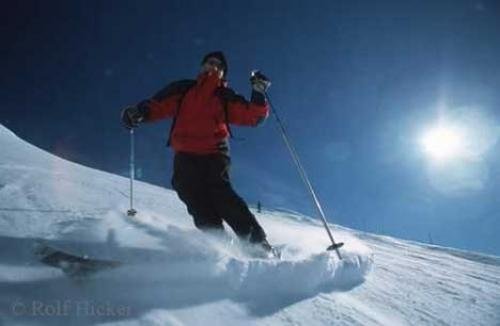 Photo: 
Whistler Skiing Fresh Powder Snow