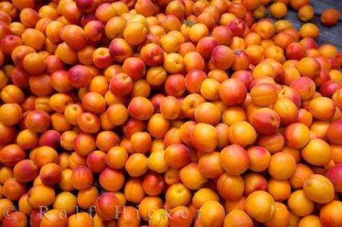 Photo: 
Apricots Fruit Central Otago South Island New Zealand