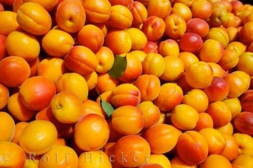 Photo: 
Picture Of Apricots
