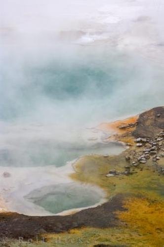 Photo: 
Artists Palette Pools New Zealand