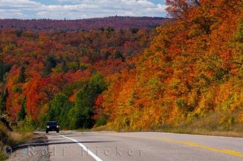 Photo: 
Autumn Road Scenery Picture