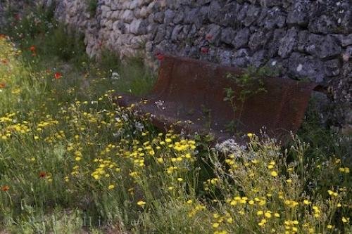 Photo: 
Wildflowers Bench Rest Provence France Village