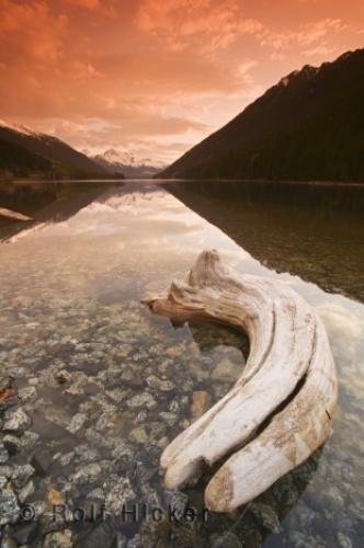 Photo: 
Canadian Wilderness