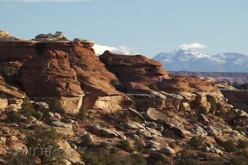 Photo: 
Canyonlands National Park Pictures