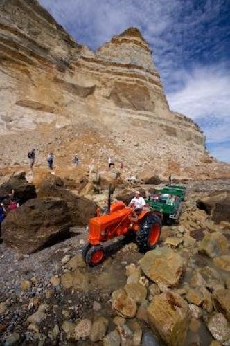 Photo: 
Cape Kidnappers Tours New Zealand