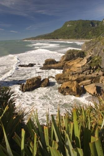 Photo: 
Coastal New Zealand