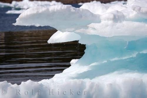 Photo: 
Conche Harbour Pack Ice Newfoundland Labrador