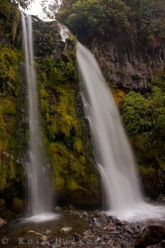 Photo: 
Scenic Dawson Falls Waterfall Egmont National Park