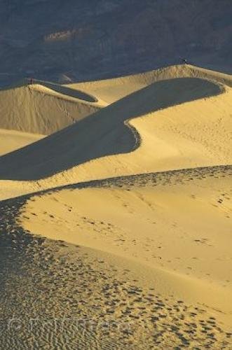 Photo: 
Death Valley Sunddunes