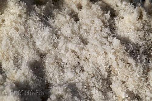 Photo: 
Desert Salt Formation