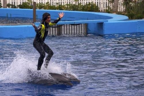 Photo: 
Dolphin Ride L Oceanografic Valencia Spain