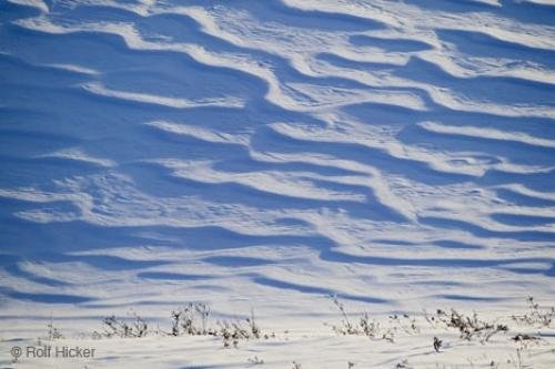 Photo: 
dunes winter
