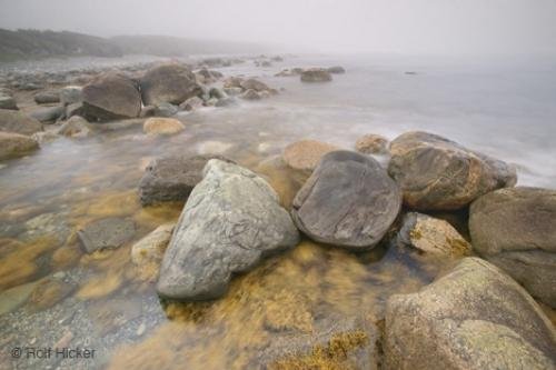 Photo: 
Fog Coast Gros Morne National park Newfoundland